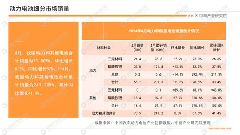 2024年4月中国新能源汽车行业月度报告（完整版） 中商情报网