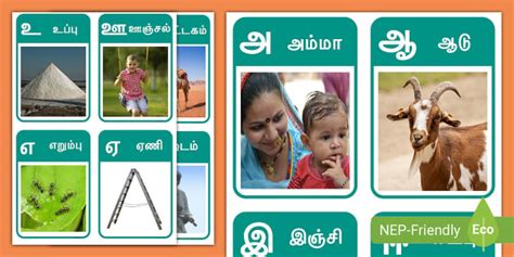 உயிர் எழுத்துக்கள் Vowels Flashcards Tamil