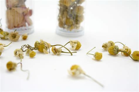 Chamomile Herbal Steam Facial | Hell Notes for Beauty: Chamomile Herbal ...