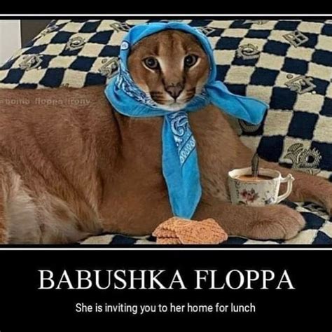 Babushka Floppa Cute Cats Some Funny Jokes Funny Memes