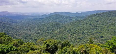 Cop Escolhe Brasil Como Sede Da Confer Ncia Do Clima De Bahia