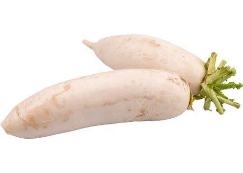 White Radish For Garnish Png Vector Psd And Clipart With Transparent