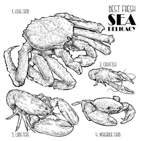 Premium Vector Hand Drawn Seafood Vector Illustration Crabs Lobsters