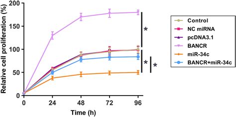 Overexpression Of Bancr Reversed The Inhibitory Effects Of Mir C On