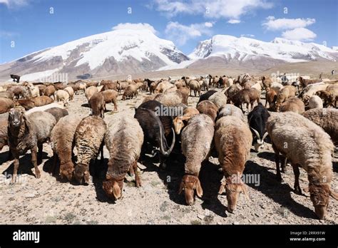 Taxkorgan China S Xinjiang Uygur Autonomous Region 6th Sep 2023