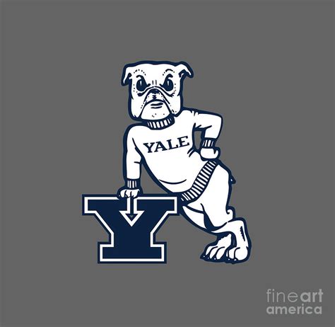 Yale Bulldogs Logo Digital Art by Sport Portal - Fine Art America