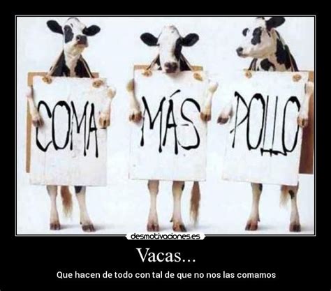 Imágenes Y Carteles De Vacas Pag 21 Desmotivaciones