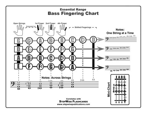 5 String Bass Finger Scale Chart Five String Bass Guitar Scales Chart In Illustrator Pdf