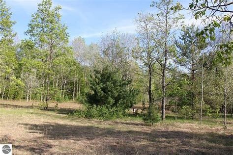 15 01 Acres Of Recreational Land For Sale In Mancelona Michigan