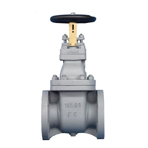 Cast Iron Gate Valve JIS F7369 16K