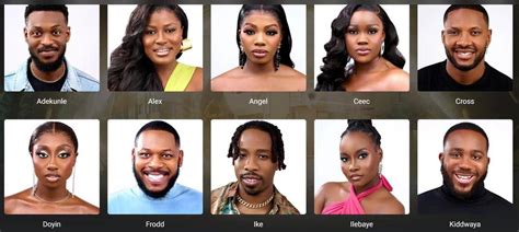 BBNaija All Stars Names Of All Female Housemates