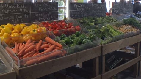 Farmers Market Billings Mt - SuryaZuhayr