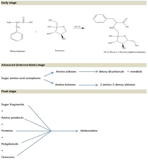 Stages Of The Maillard Reaction In Honey [14 103 106] Download Scientific Diagram