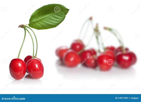 Red Cherry With Leaves Isolated Stock Image Image Of Shiny Fresh