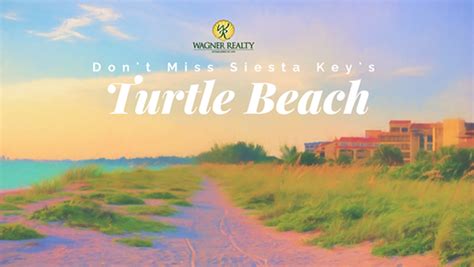 Dont Miss Siesta Keys Turtle Beach