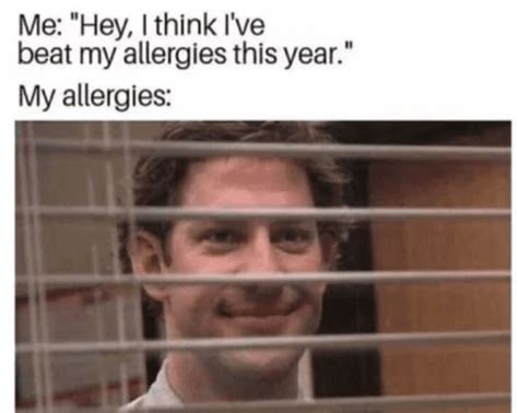 I Feel It Allergy Meme