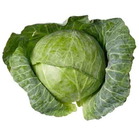 Cabbage Aprox 850gm To 1kg Moaahar Order Prasad Temple Food Online