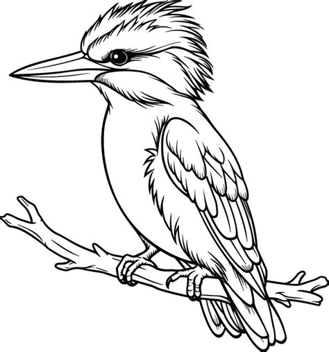 mano dibujado contorno de un martín pescador Drawings Kingfisher