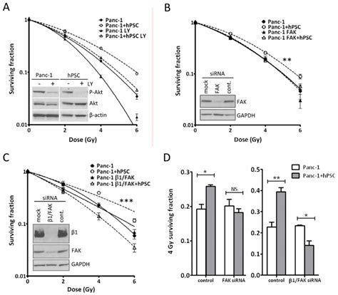 Signaling Downstream Of Integrin Clonogenic Survival Curves Of