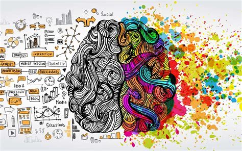 Cerveau Droit Ou Cerveau Gauche Quelles Diff Rences