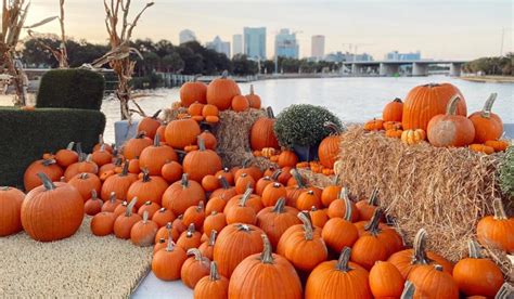 Ludwigsburg Pumpkin Festival das größte Kürbisfest der Welt