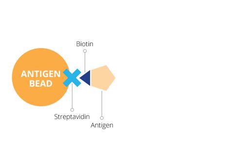 Beacon Select™ Optofluidic System For Antibody Discovery Bruker