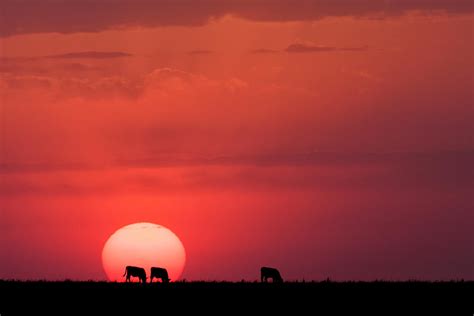 In The Sun Photograph By Scott Bean Fine Art America