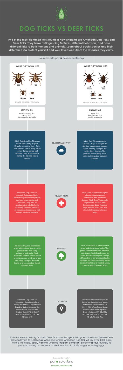 Tick Identification Card [Infographic]: Dog Ticks vs Deer Ticks