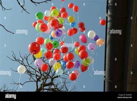 Colored Balloons At A Wedding Ceremony Stock Photo Alamy