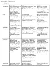 Nlee Phasesofburninjury Docx Phases Of Burn Injury Patient