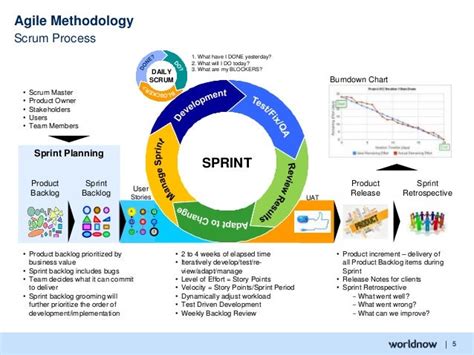 Agile Methodology | Agile, Program management, Agile project management