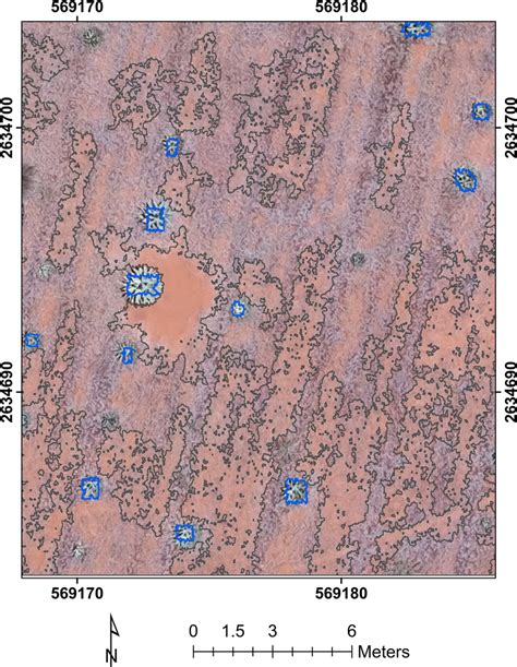 Segmentation Of The Image Of An Agave Agave Durangensis Crop By The