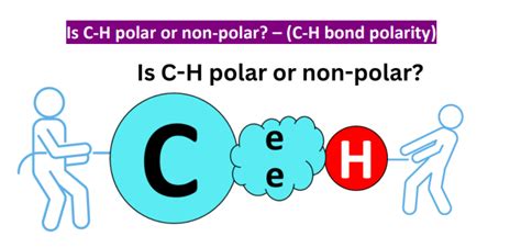 Is C H Polar Or Nonpolar Polarity Of C H Bond In Covalent