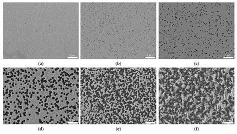 examples  images   surface  polymer films irradiated