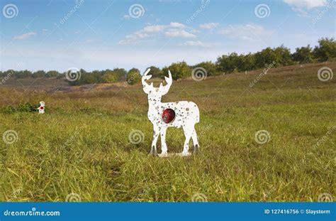 Shooting Range Out in the Open Stock Photo - Image of green, firearm ...