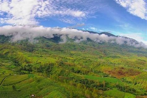 Taman Nasional Gunung Leuser Sejarah Flora Dan Fauna Hingga Tempat