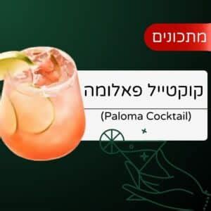 קוקטייל סקס על החוף Sex On the Beach Cocktail מתכון