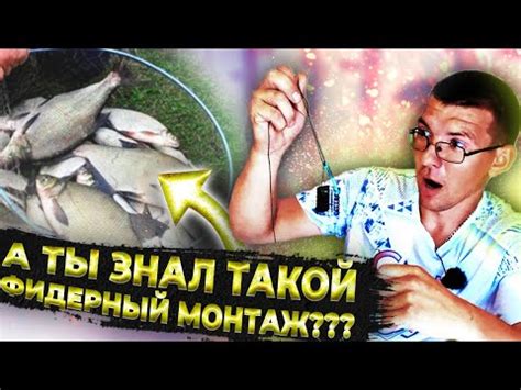 Фидерный монтаж, который скрывают спортсмены. Петля Орлова. - YouTube