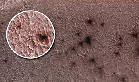 Nasa News Shock Martian Spiders Photographed On Red Planet Science