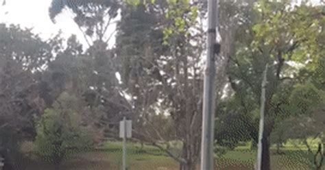 Fuck Tha Police Пикабу