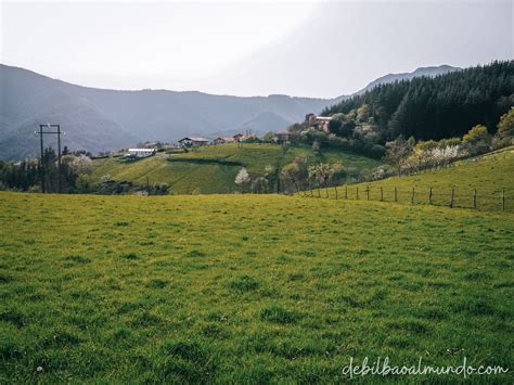 Zollo y su presa, naturaleza y tranquilidad a un paso de Bilbao