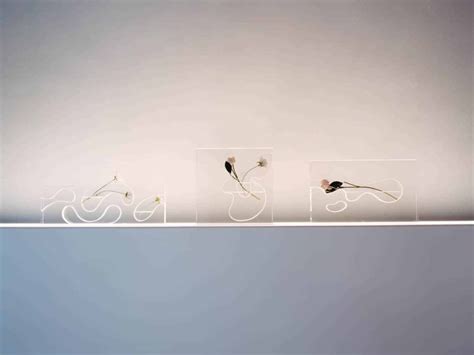 Andrea Branzi Del Diseño Radical A La Neoprehistoria Room Diseño