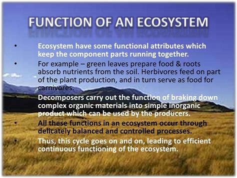 Structure and function of ecosystem 1