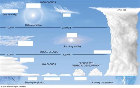 Cloud types Diagram | Quizlet