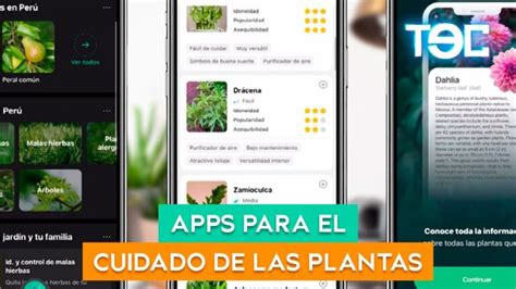 Gu A De La Mejor Aplicaci N Para Cuidar Plantas Actualizado