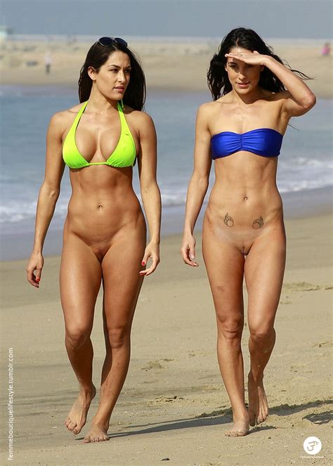 Nikki Bella And Brie Bella In Bikini California Boobies