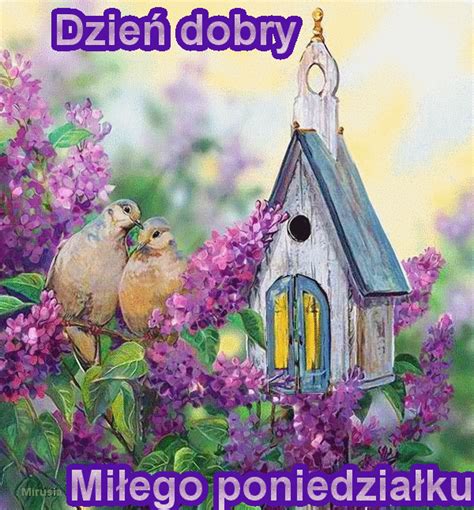 Ptaszki W R D Fioletowych Kwiat W Mi Ego Poniedzia Ku Gify I Obrazki