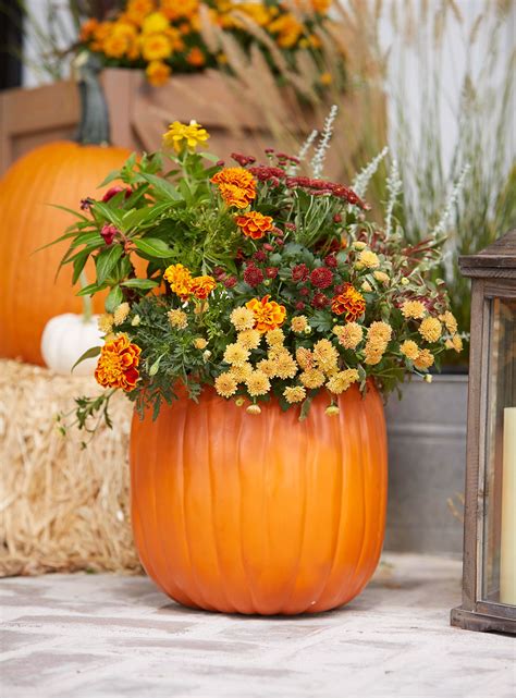 25 Outdoor Fall Decor Ideas To Showcase Through Thanksgiving