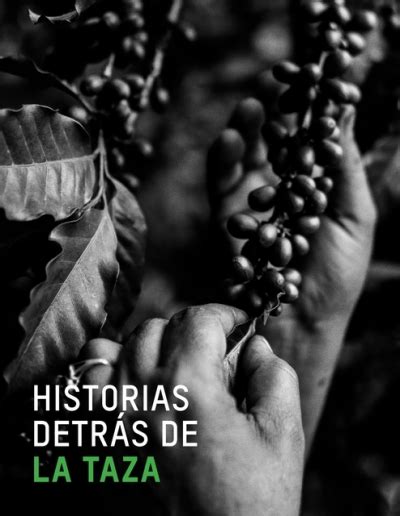 Historias Detras De La Taza