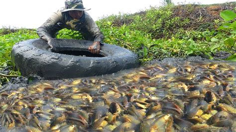 Dry Season Fishing Unbelievable Search Catch Lot Of Fishes